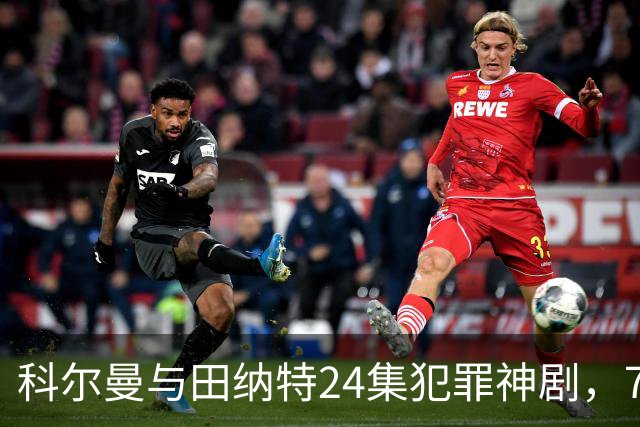 科尔曼与田纳特24集犯罪神剧，7天后将下架Netflix