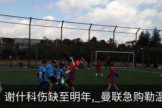 谢什科伤缺至明年, 曼联急购勒温补锋线
