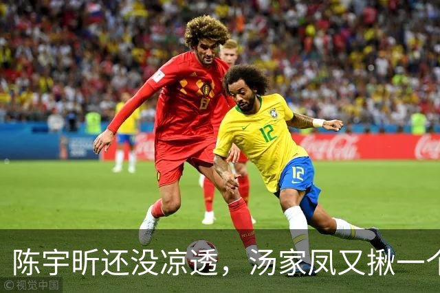 陈宇昕还没凉透，汤家凤又揪一个“精日”人员：竟然还是公司老板